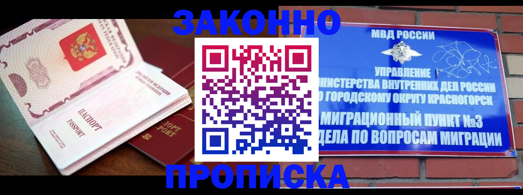 прописка для школы в Звенигово